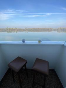 武科瓦尔Danube的坐在湖前的一对凳子