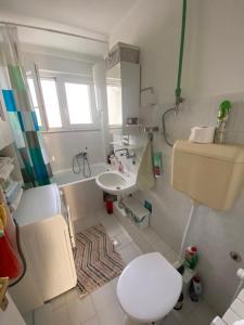 武科瓦尔Danube的白色的浴室设有卫生间和水槽。