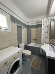 乐托卡亚Olympian Two Floor Apartment的浴室配有卫生间、盥洗盆和洗衣机。
