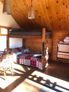 肖维尼根Les Cabines Nordik 2.0的小屋内设有一间带两张双层床的卧室