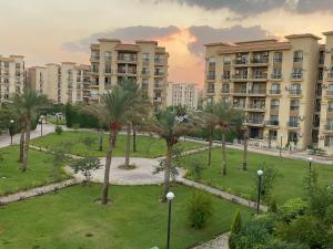 开罗Al-Rehab luxury apartment的一座棕榈树公园,位于一座建筑前