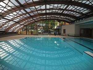 尚帕尼恩瓦努瓦茲Chalet Alouette的大型游泳池设有大型天花板