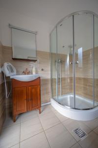 Poiana TeiuluiCabana TYF Dreptu - TYFTRAVEL SRL的带浴缸、水槽和淋浴的浴室