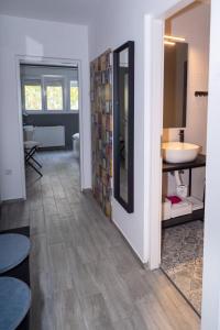 奥西耶克Apartman Ina的一间带水槽和镜子的浴室