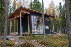 AlvajärviRantarovio的树林里的一个蓝色小房子