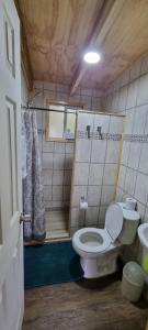 蒙特港Cabañas Chucao Austral的一间带卫生间和淋浴的小浴室