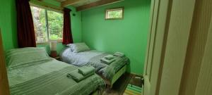蒙特港Cabañas Chucao Austral的绿墙客房内的两张床