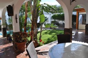 巴尔塞基略Bonita casa cálida para el relax con wifi的一个带桌椅和树的庭院