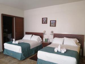 瓦哈卡市Casa Esmeralda Hotel的两张位于酒店客房的床,配有毛巾