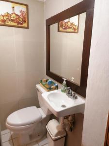 瓜达拉哈拉¡Confortable y Privado! - Ubicado en Av. principal的一间带卫生间、水槽和镜子的浴室