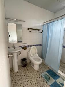 蓬塔查梅Punta Chame Hotal Mi Orquídea的一间带卫生间、水槽和镜子的浴室