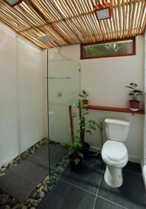 San IsidroLaFinca Hostel Siargao的一间带卫生间和步入式淋浴间的浴室
