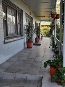 土乌巴飞翔斯普尔汽车旅馆的一座房子里种有盆栽植物的庭院