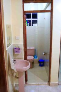 MeruCosy and spacious apartment in Meru的一间带粉色水槽和卫生间的浴室