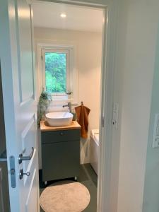 格里姆斯塔Tiny house - idyllic accommodation的一间带水槽和窗户的浴室