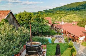 Pianu de SusCasa Dives - Transylvania的享有带桶形庭院的房屋的空中景致