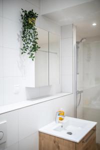 鹿特丹Distinct 2 bedroom Serviced Apartment 84m2 -VP2D-的一间带水槽和镜子的浴室