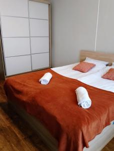 巴尔切沃Apartament Warmińska的两张带白色床单和红色及白色枕头的床