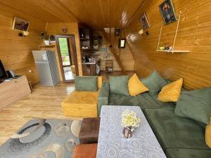 第比利斯Cozy cabin的客厅配有绿色沙发和桌子