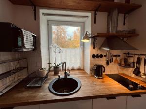 帕维洛斯塔Pāvilostas Šīfermāja的带水槽的厨房台面和窗户