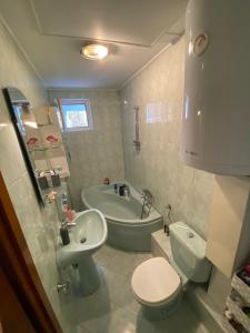 特尔古穆列什Sara House的浴室配有卫生间、盥洗盆和浴缸。