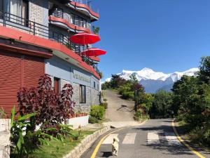 博卡拉Hotel Pristine Himalaya的一条狗沿着建筑物旁边的街道走