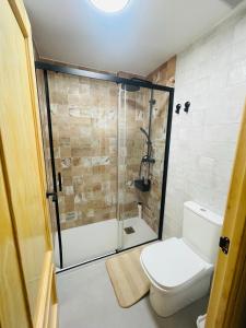 瓦伦西亚Casa del palmar junior的带淋浴、卫生间和淋浴的浴室