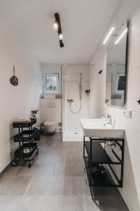 湖滨福煦Seeblick Homes的一间带水槽、淋浴和卫生间的浴室