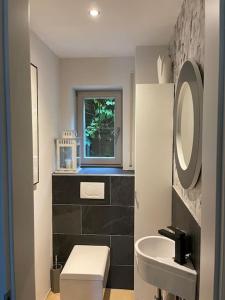 泰根塞See- und Bergblick in Bestlage am Tegernsee的浴室配有白色卫生间和盥洗盆。