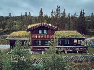 Nes i ÅdalGrand cabin Nesfjellet lovely view Jacuzzi sauna的一座带草屋顶的大型木屋