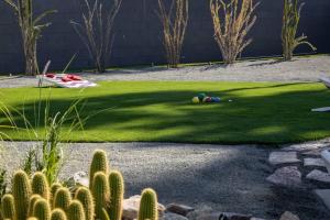 棕榈泉The Desert Xscape Pool & Views的一个带仙人掌草坪的花园