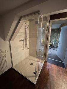 蔡茨Villa Prestige的客房内的玻璃淋浴间