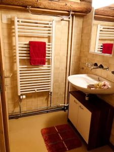 楚奥茨Chesa Margadant的浴室配有水槽和带红色毛巾的淋浴