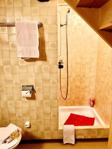 楚奥茨Chesa Margadant的带淋浴和浴缸的浴室
