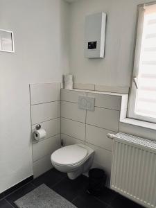 科布伦茨Zentrale beautiful Apartment in Koblenz的一间带卫生间和窗户的小浴室