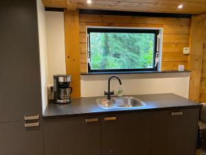 恩斯赫德Boshuisje的厨房设有水槽和窗户。
