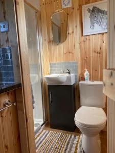 沃里克Beautiful 1 Bed Shepherd Hut in Warwickshire的一间带卫生间和水槽的小浴室