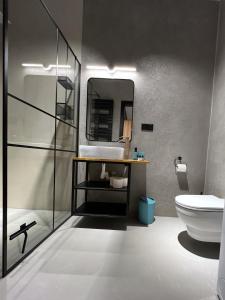 扎托尔Premium Apartment Eleven的一间带水槽、卫生间和镜子的浴室