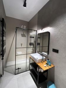 扎托尔Premium Apartment Eleven的一间带水槽和镜子的浴室