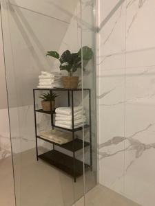 哈尔德韦克Copenhagen Residence的玻璃架,带毛巾和淋浴植物