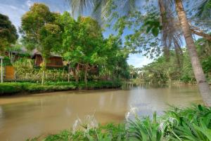 山打根Sepilok Nature Lodge - Formerly known as Sepilok Nature Resort的一条有树木的河流和一座房子