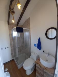 蓬塔阿雷纳斯Cabañas Altos de Leñadura的浴室配有卫生间、淋浴和盥洗盆。