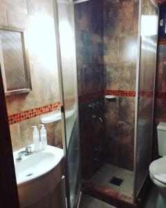 胡宁Albajunin的带淋浴、盥洗盆和卫生间的浴室