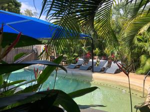 Picnic BayTropical Palms Resort & 4WD Hire的一个带躺椅的游泳池,棕榈树