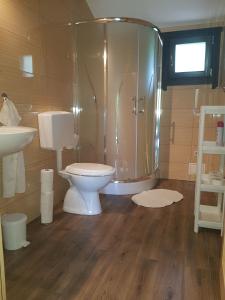 博加奇Muskátli Apartman的带淋浴、卫生间和盥洗盆的浴室