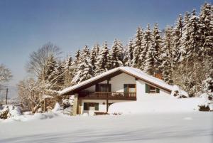 茨维泽尔FW Winterer的树前的雪覆盖的房子
