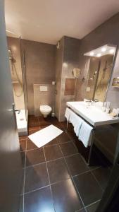 鲁昂康苏尔鲁昂酒店的一间带水槽和卫生间的浴室