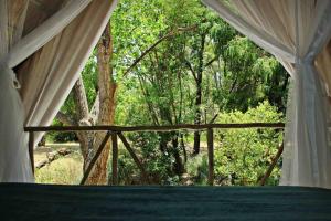 GemsbokfonteinHot Spring bungalow in Limpopo的客房设有一个享有森林美景的窗户。
