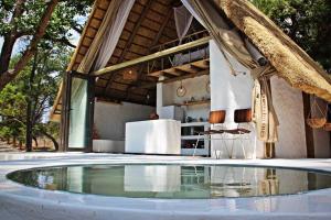 GemsbokfonteinHot Spring bungalow in Limpopo的房屋中间的游泳池