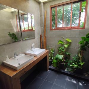 芭东海滩Baiyok Villa seaview and edge pool的浴室设有水槽、镜子和盆栽植物